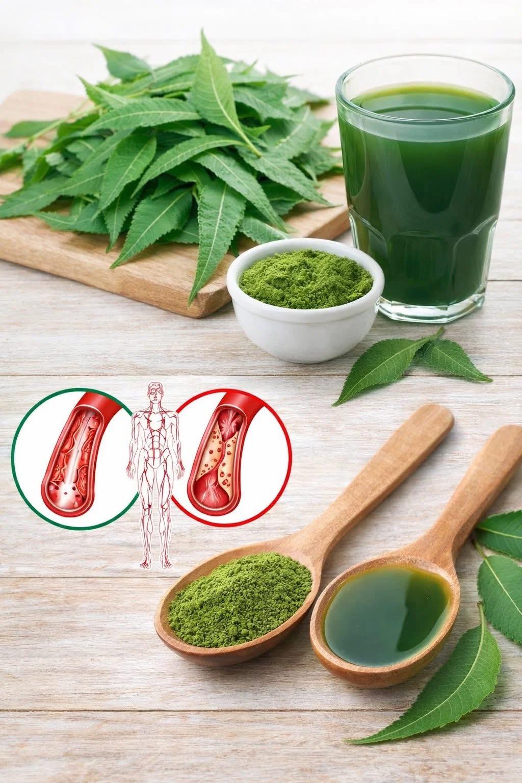 Descubre los Beneficios de las Hojas de Neem para tu Salud