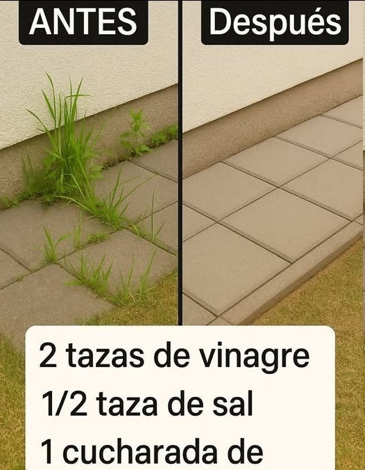 Cómo Hacer Herbicida Casero Súper Efectivo