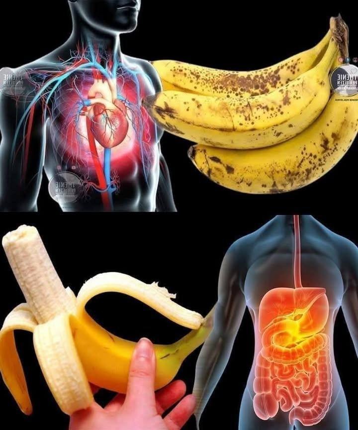 ¿Sabías que comer plátanos aumenta… Ver más