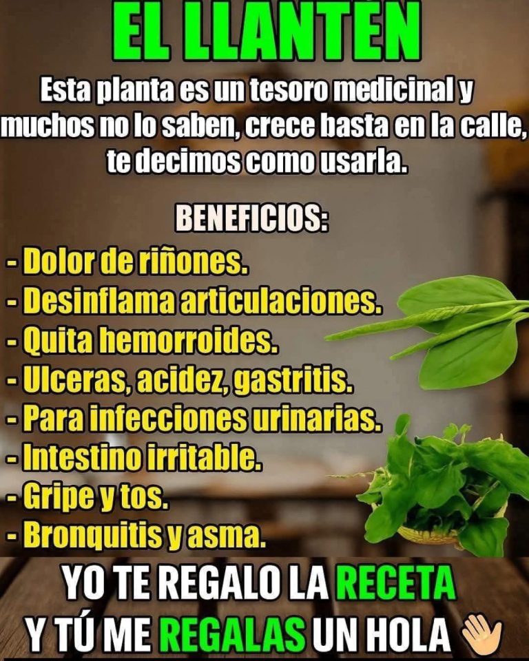 EL LLANTÉN: