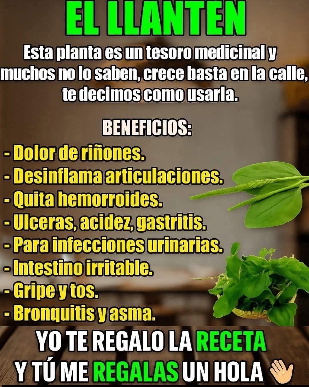 EL LLANTÉN: