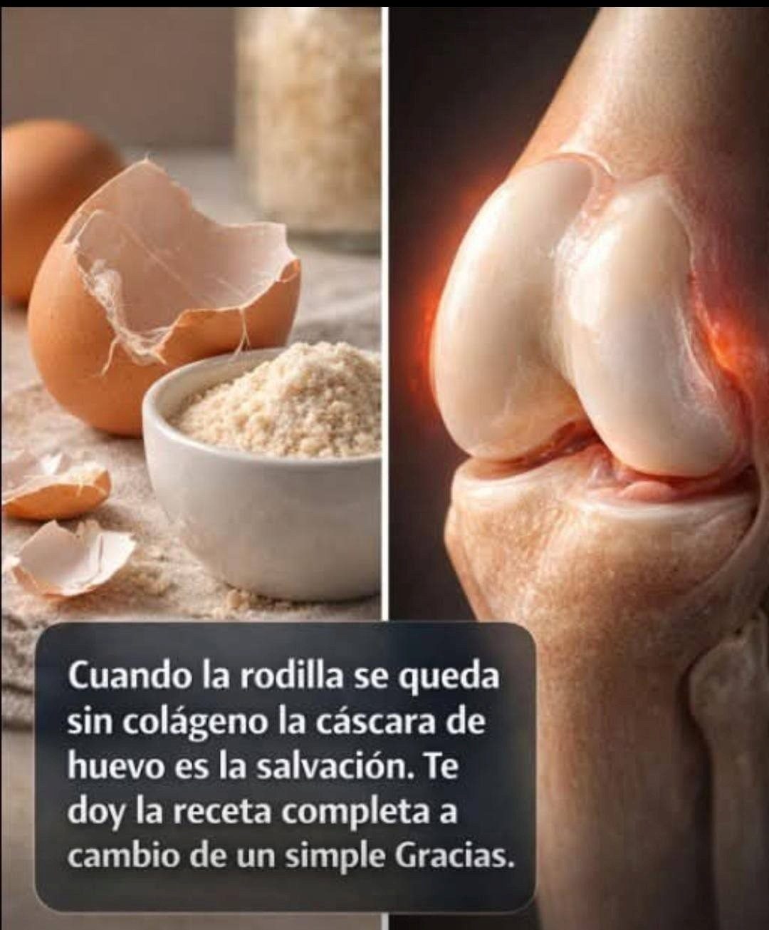 Cuando la rodilla se queda sin colágeno, la cáscara de huevo es la salvación