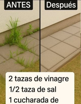 Cómo Hacer Herbicida Casero Súper Efectivo