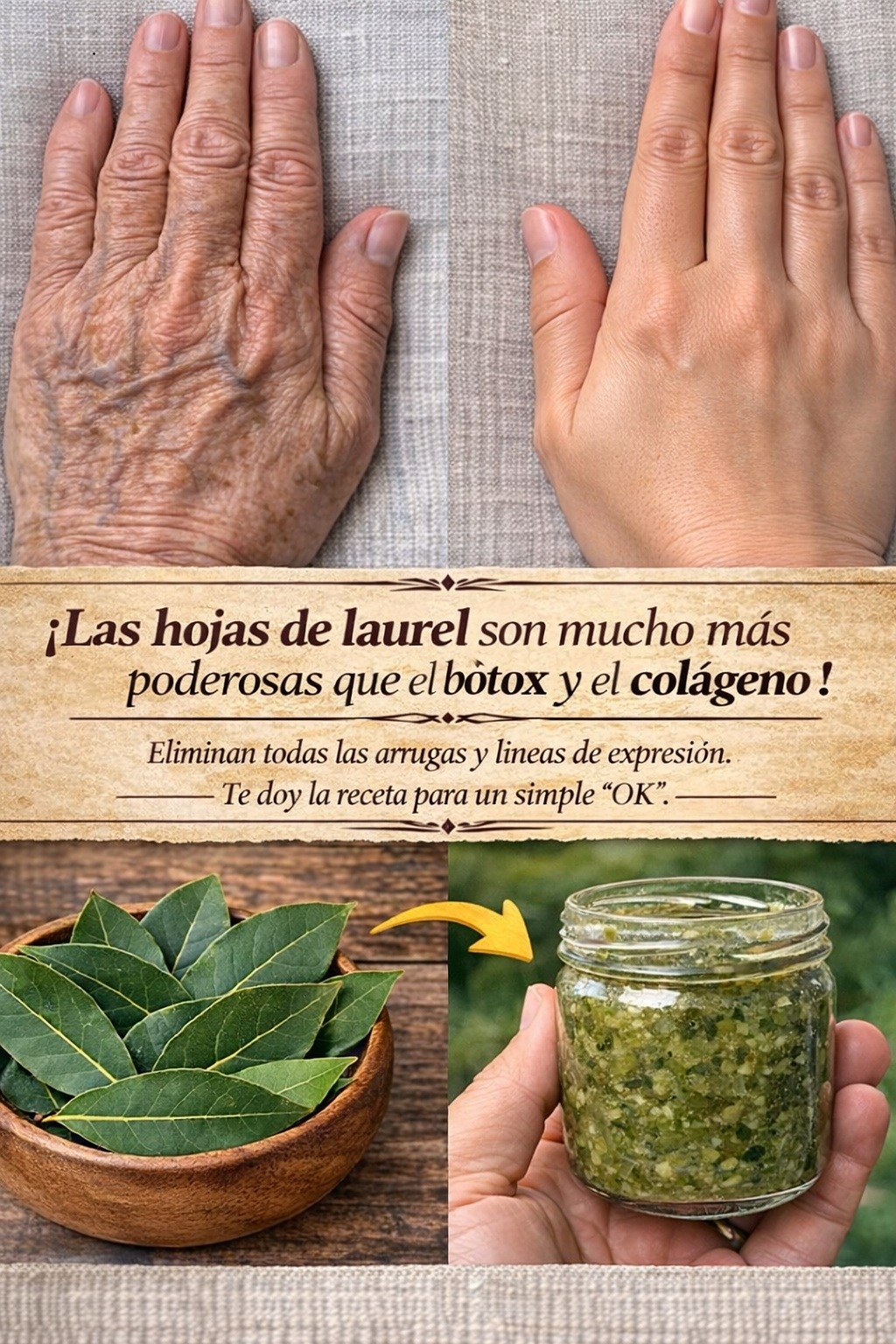 ¡Las hojas de laurel son mucho más poderosas que el bótox y el colágeno! Eliminan todas las arrugas y líneas de expresión. Necesito que digas algo para seguir recibiendo mis recetas.🙏