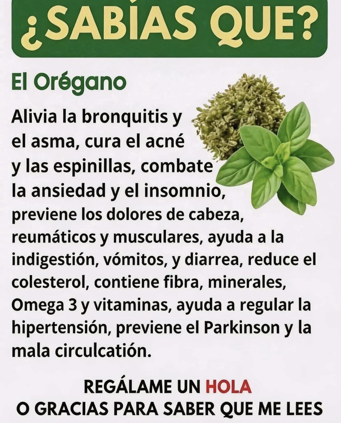 Si tienes esta planta en tu casa, tienes un tesoro y no lo sabías