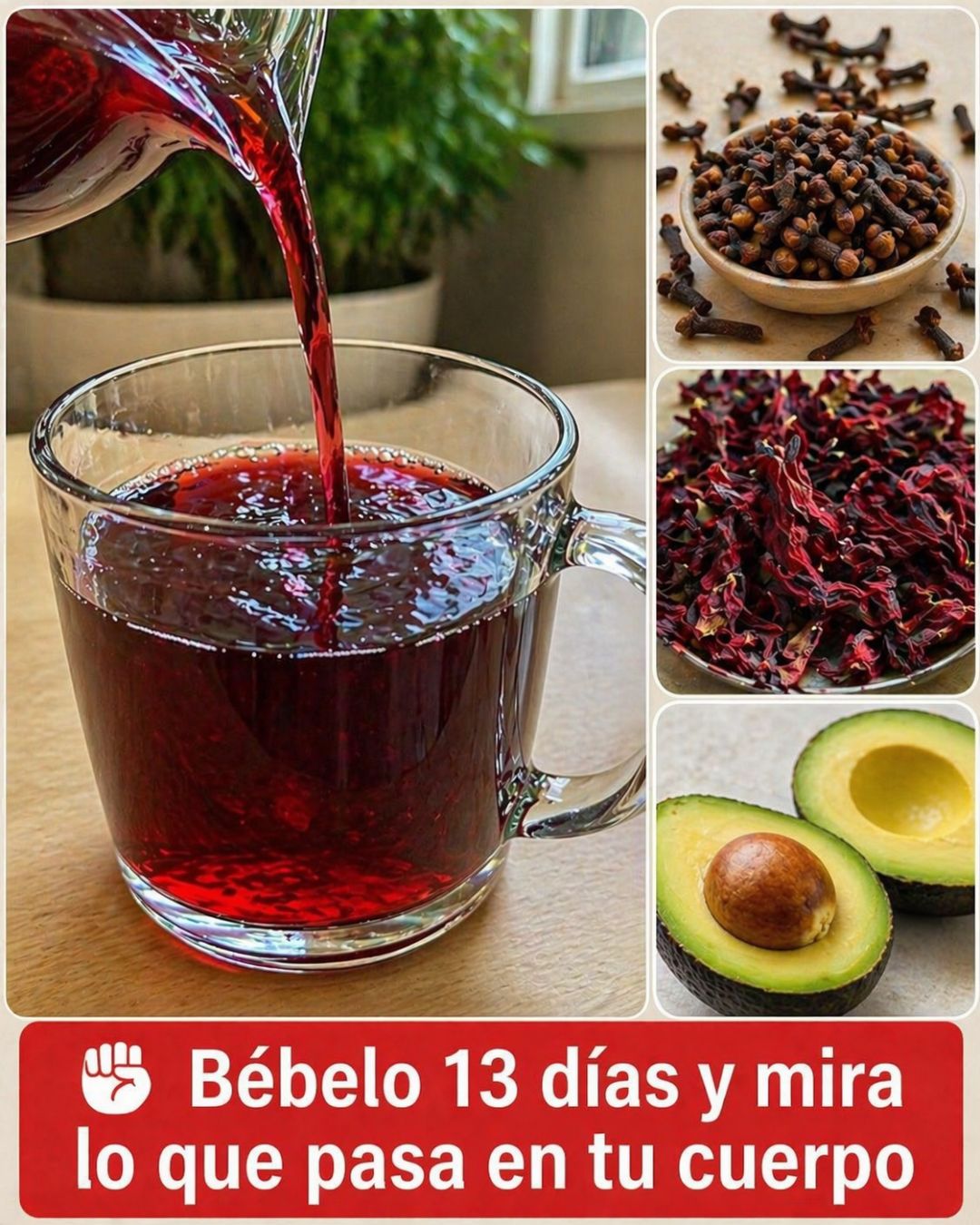 Semilla aguacate jamaica beneficios receta
