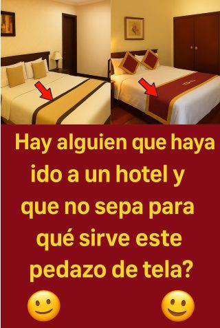 🏨 El Misterioso Pedazo de Tela en la Cama del Hotel: ¿Sabes Para Qué Sirve? 🤔👇