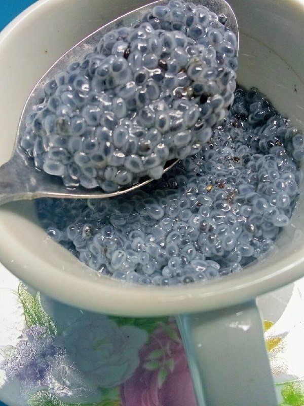 Semillas de chía: pequeñas, poderosas y deliciosas