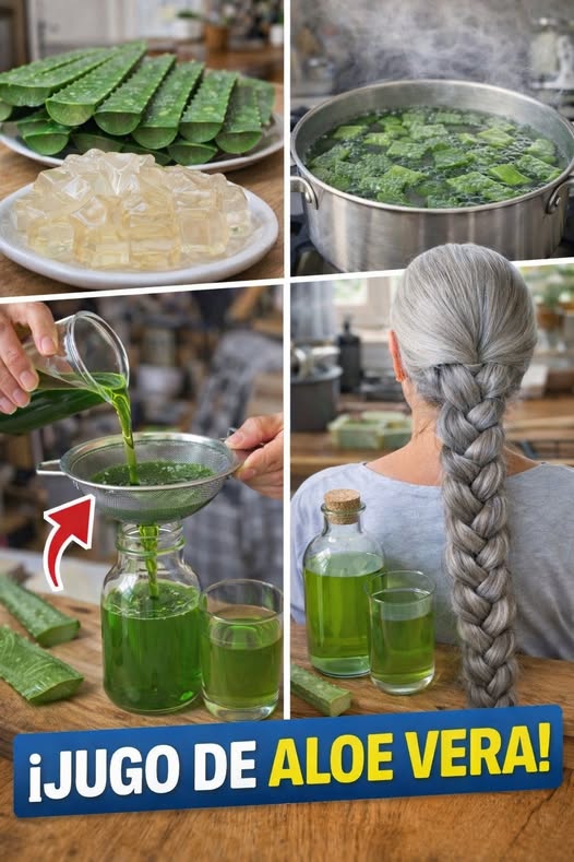 Cómo hacer aceite de sábila para un crecimiento más rápido del cabello y para detener la caída del cabello….