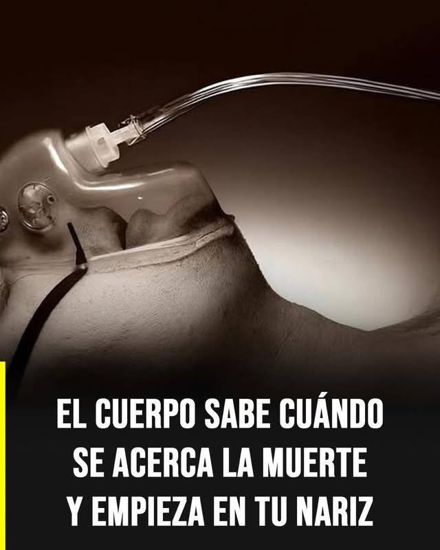 El Cuerpo Sabe: Señales de Advertencia y el Aroma de la Muerte