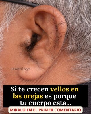 Porqué salen vellos en la oreja?