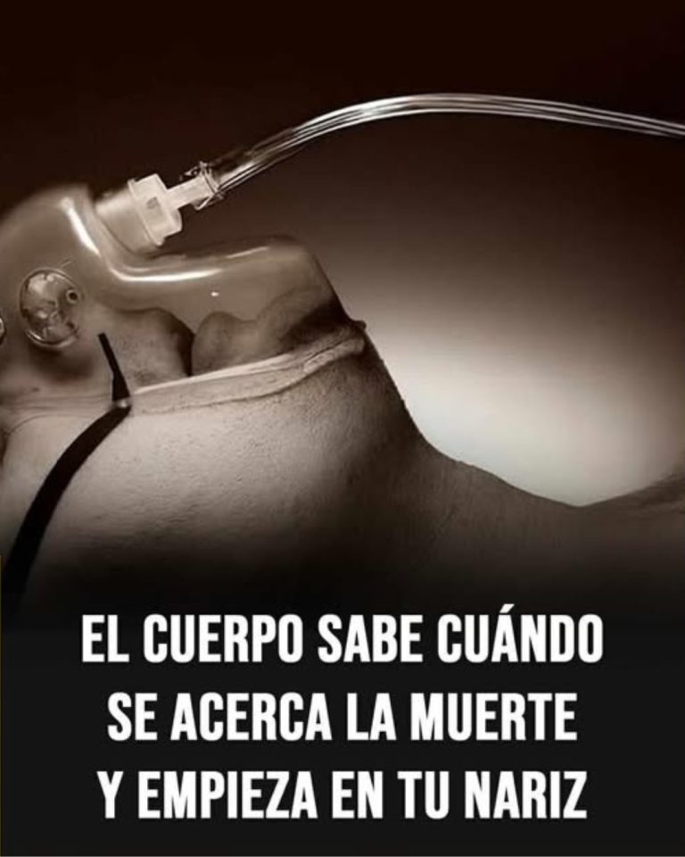 7 señales claras de que la muerte está cerca y cómo afrontarlas