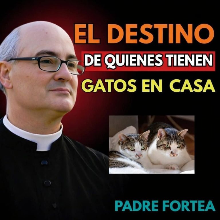 Duermes con tu gato? Esta es la peor enfermedad que podrías contraer sin saberlo».