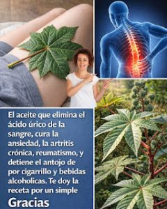 🌿 Aceite de Higuereta: El Elixir Ancestral para el Cabello y la Salud