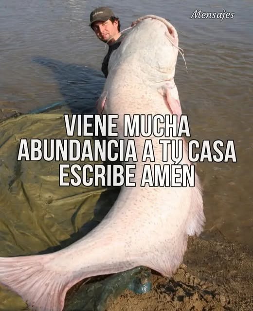 Llega la abundancia a tu hogar, solo escribe AMÉN 🙌🏼✨ Da like y comparte para atraer la prosperidad. 🔁 Ver más
