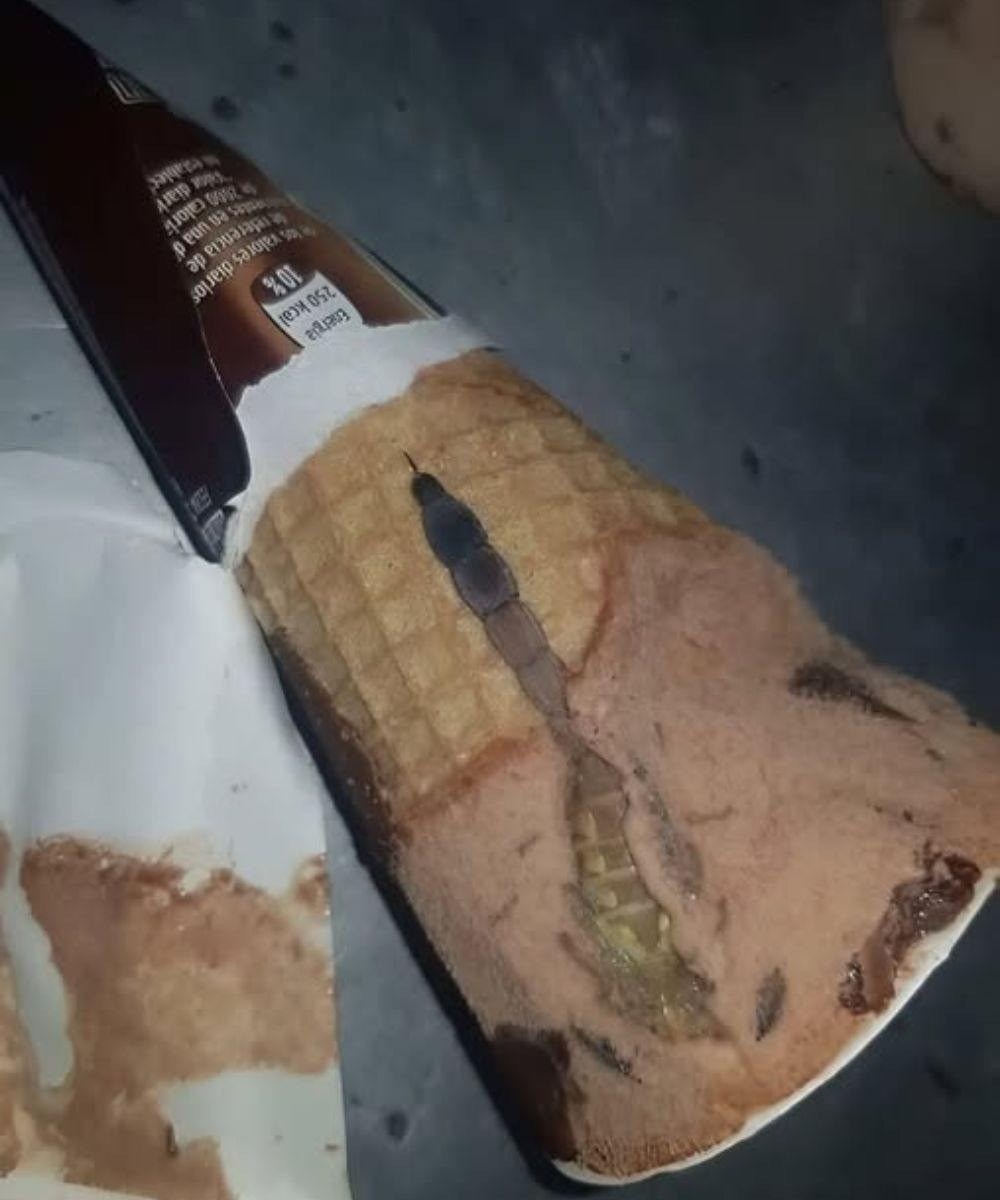 Hoy, mi hija abrió su helado de chocolate favorito February 24, 2026 by admin Hoy, mi hija abrió su helado de chocolate favorito, el mismo que come casi todos los días después de la escuela. Todo estaba como siempre: un cono crujiente, un aroma dulce, una suave capa de chocolate encima. Pero unos segundos después, la oí decir sorprendida: “¡Mamá, mira qué es esto!”. Me acerqué y vi algo extraño y oscuro dentro, como un trozo de envoltorio o caramelo. Al principio, pensamos que era solo un defecto, luego que tal vez se había metido un trozo de chocolate. Pero mi hija, siempre curiosa, decidió rebuscar con cuidado con una cuchara. Un momento después, gritó. Dentro, justo debajo del chocolate, vimos…
