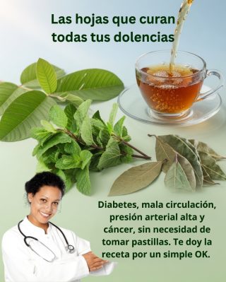 🍃Las hojas que curan todas tus dolencias – diabetes, mala circulación, presión arterial alta y cáncer – sin necesidad de tomar pastillas 👇🧐