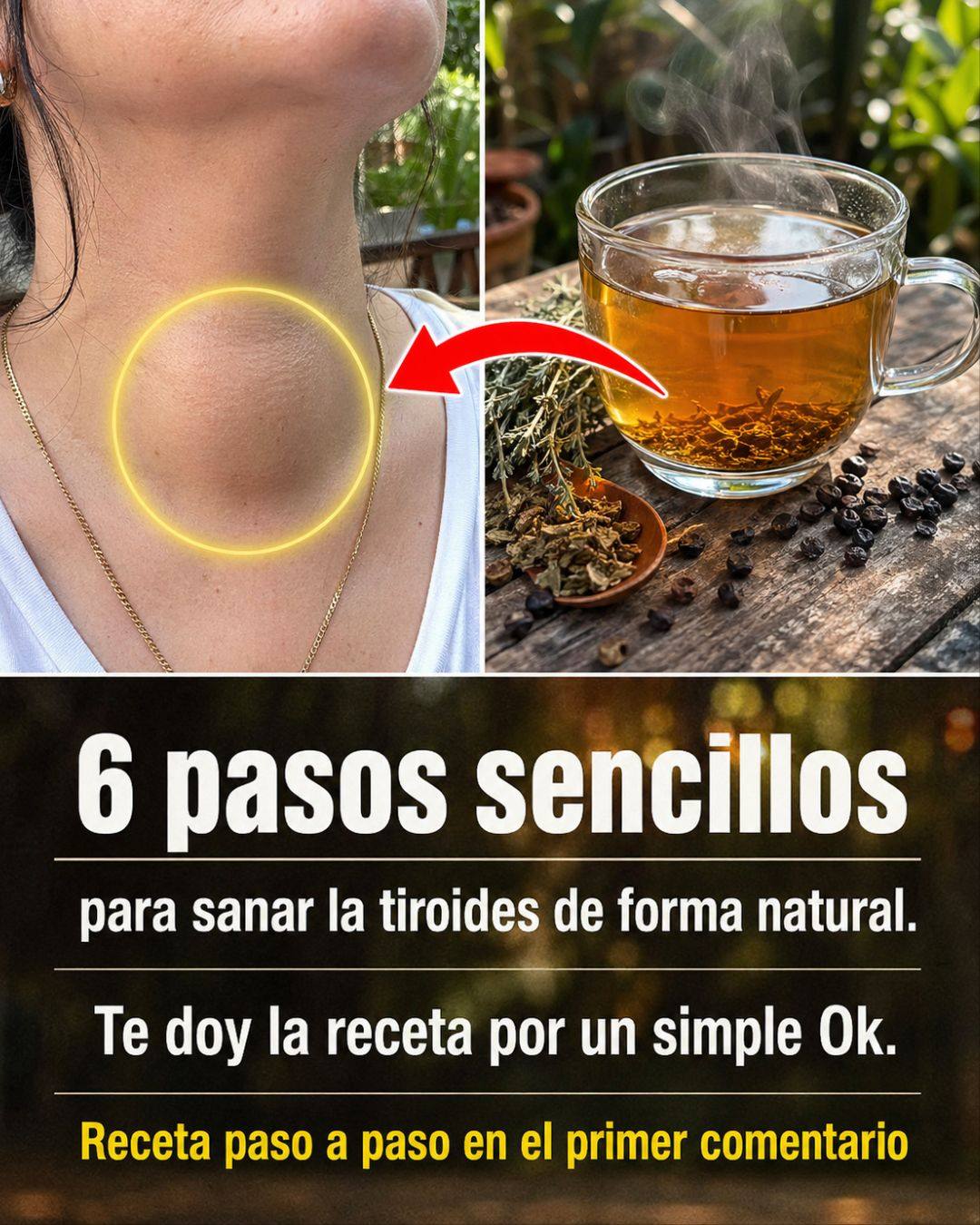 6 pasos sencillos para sanar la tiroides de forma natural. Di “HOLA” o “GRACIAS” en los comentarios y te la comparto.