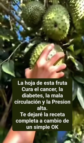Esta es la fruta que debe comer para prevenir