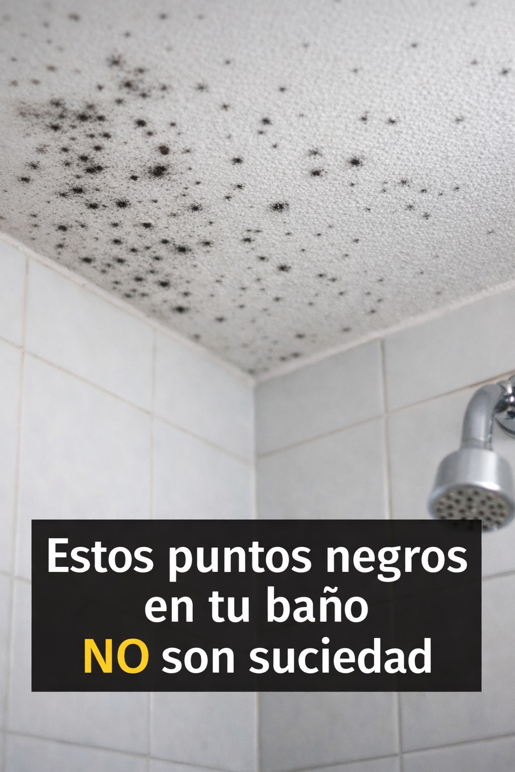 Si ves estos puntitos negros en el techo del baño… NO los limpies sin leer esto primero