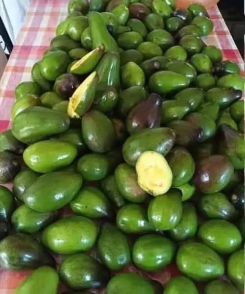 5 posibles riesgos de comer aguacates que debes conocer