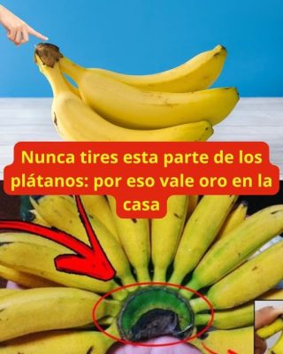 Nunca tires esta parte de los plátanos: por eso vale oro en la casa
