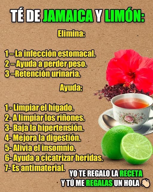 Sabias que con Esta Flor Puedes Preparar una Saludable Bebida !!