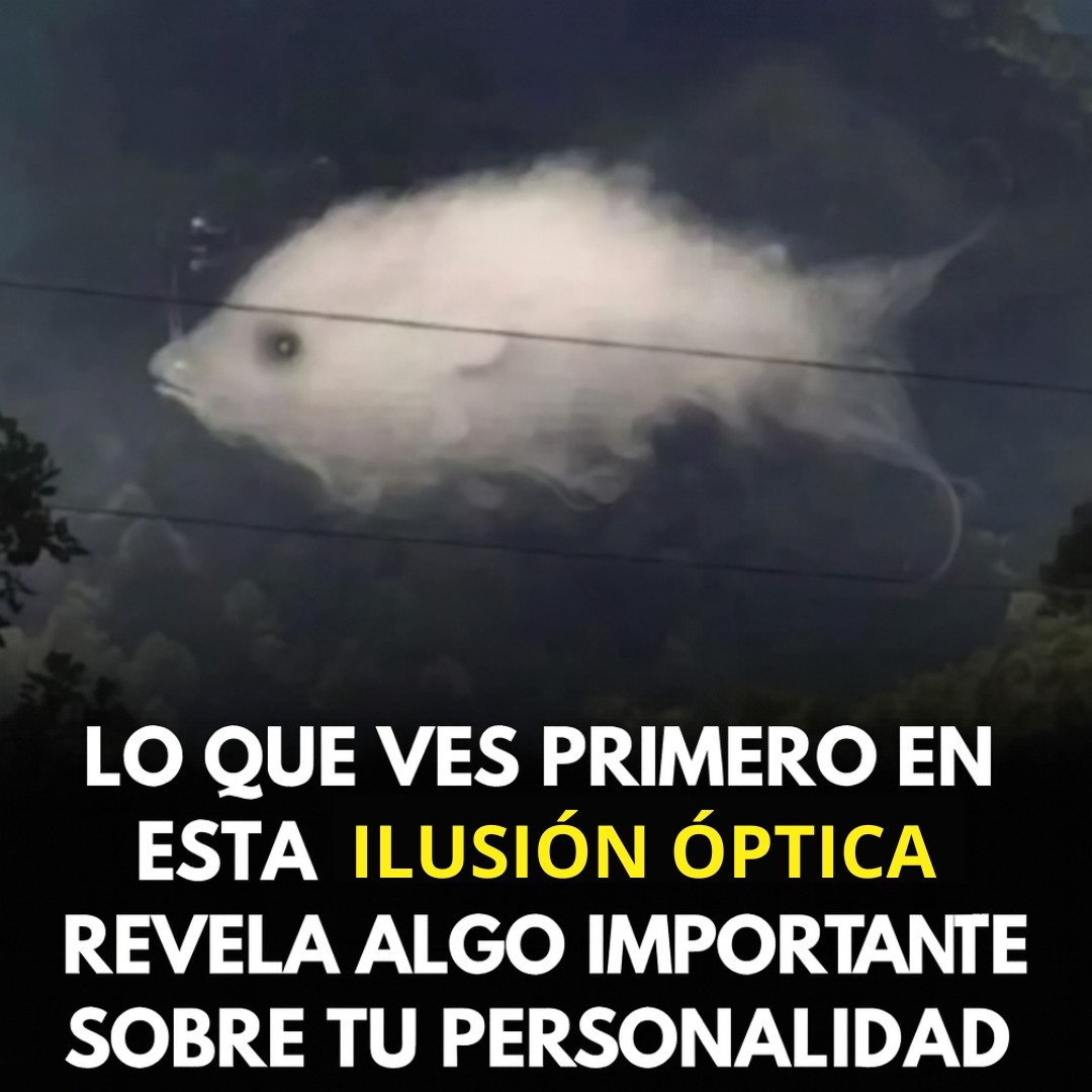 Test: Lo que ves primero revela algo importante sobre tu personalidad