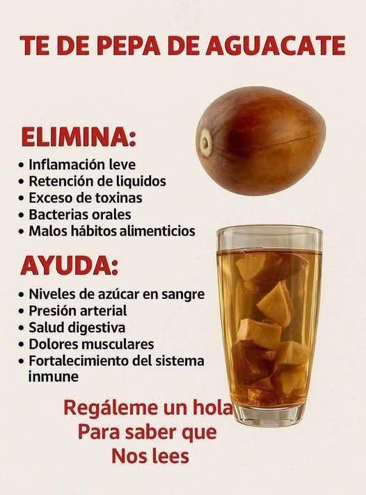 No Lances a la Basura la Parte mas Saludable del Aguacate: La Semilla