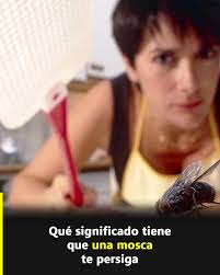 ¿Qué significa que una mosca te persiga constantemente?