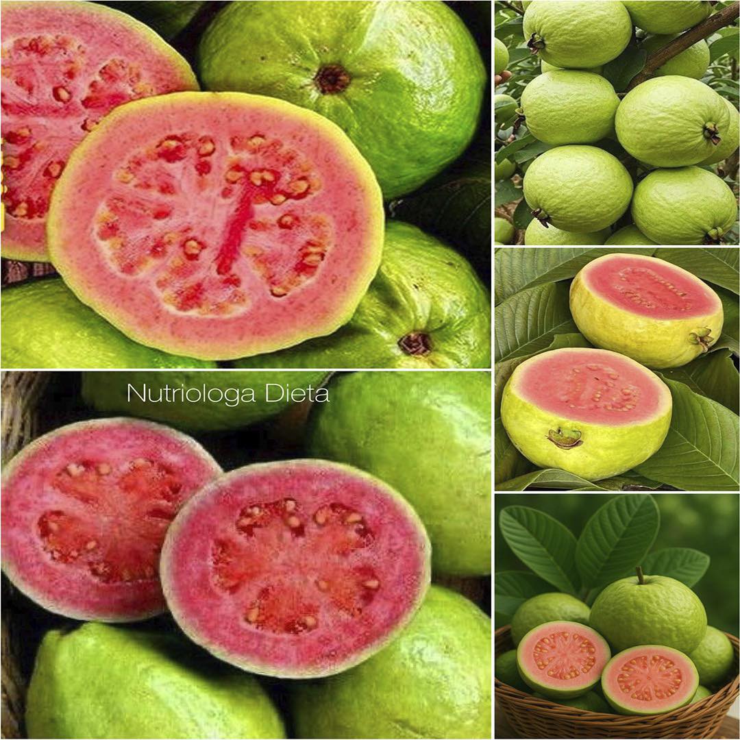 Zumo de hojas de guayaba para la azucar alta