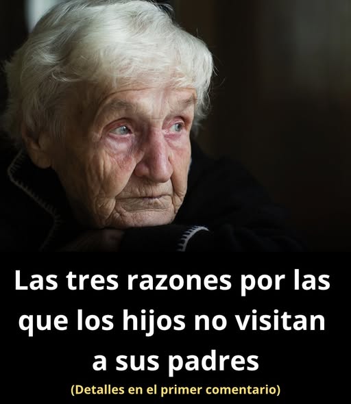 Razones por las que los hijos dejan de visitar a sus padres