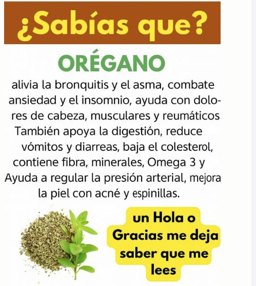 Té de oregano para todo! – ¿para qué sirve?