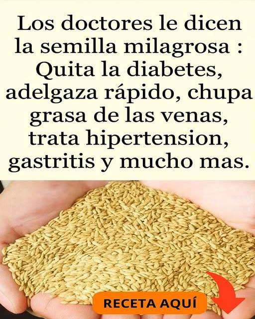Descubre el Poder Antiinflamatorio que Tu Cuerpo Anhela