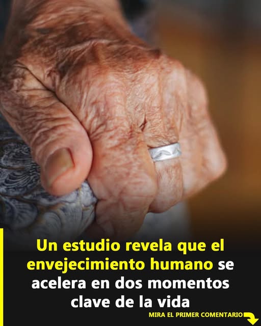 Estas dos edades son clave: así se acelera el envejecimiento del cuerpo