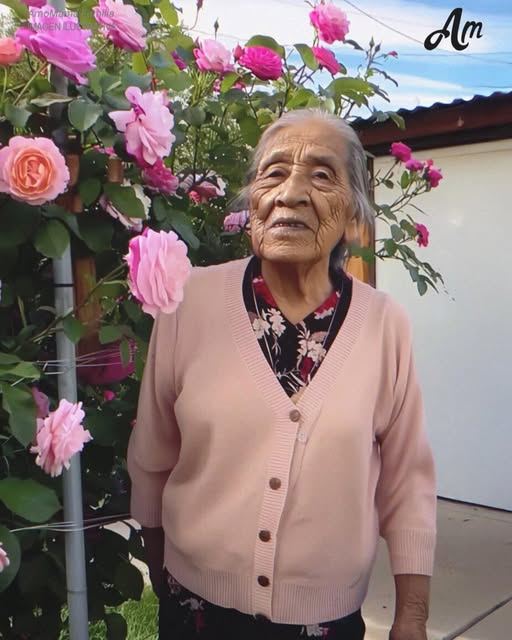 Mi abuela me pidió que trasladara su rosal favorito un año después de su muerte – Nunca imaginé lo que había escondido debajo