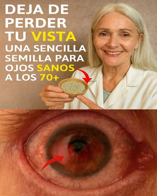 El pequeño grano olvidado que podría nutrir tus ojos y apoyar tu vista después de los 50