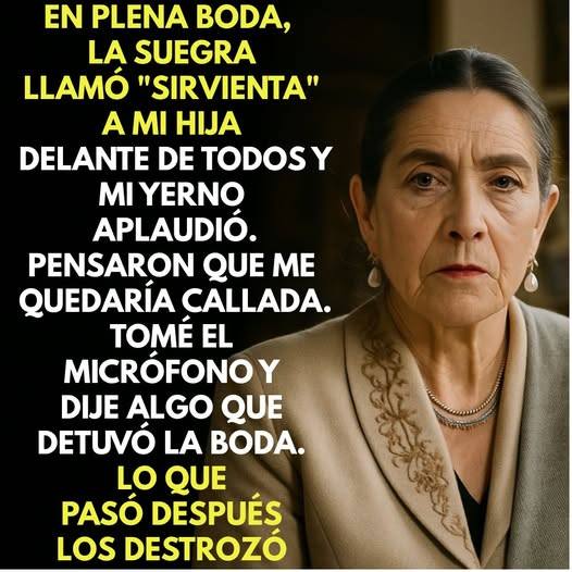 En la boda, la suegra llamó “sirvienta” a mi hija. Mi yerno aplaudió… entonces hablé al micrófono.