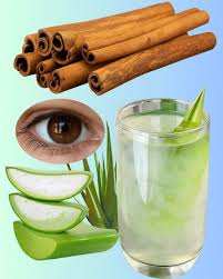 Recetas Saludables: Canela y Aloe Vera
