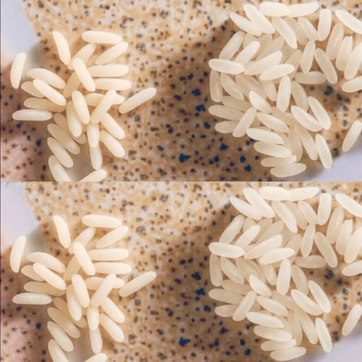 Cómo identificar el arroz falso (arroz plástico) que nos venden