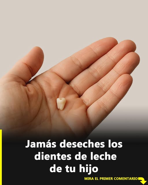 Por qué conservar los dientes de leche de tu hijo podría ser clave para su salud futura
