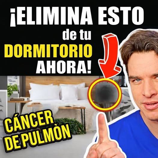 8 artículos del hogar que podrían afectar tu salud y conviene revisar en casa.