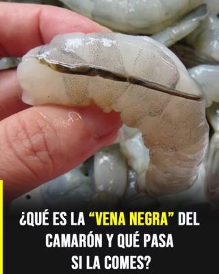 La “vena” del camarón: el detalle culinario que pocos conocen y muchos discuten
