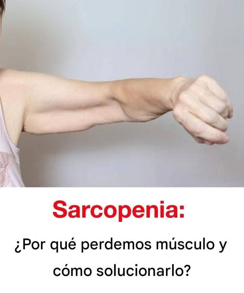 6 Alimentos que ayudan a aumentar la masa muscular