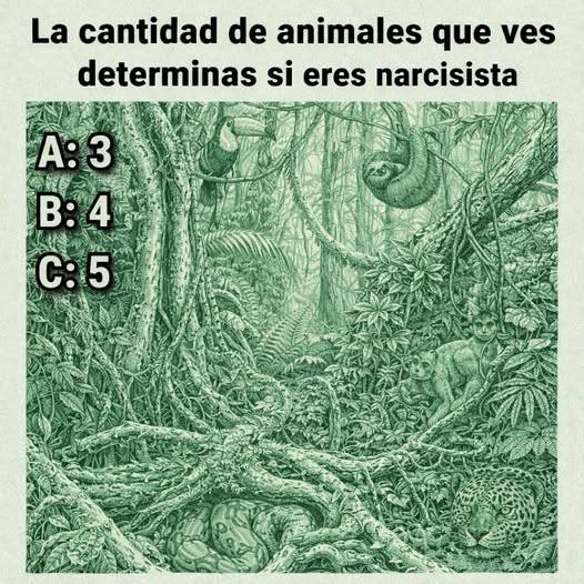 Lo que revela tu percepción visual en este test simbólico sobre tu forma de pensar