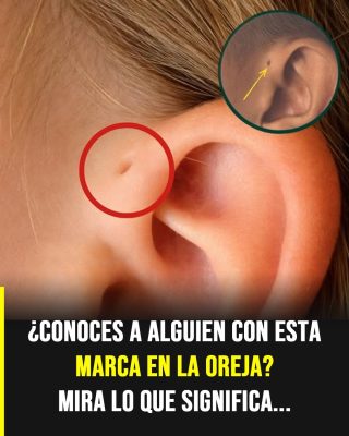 Descubre el significado de esta particular marca en la oreja.