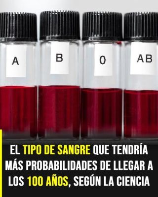 El tipo de sangre y el envejecimiento: lo que la ciencia empieza a descubrir