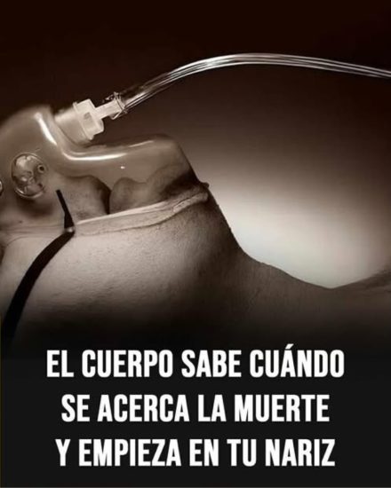 7 señales claras de que la muerte está cerca y cómo afrontarlas