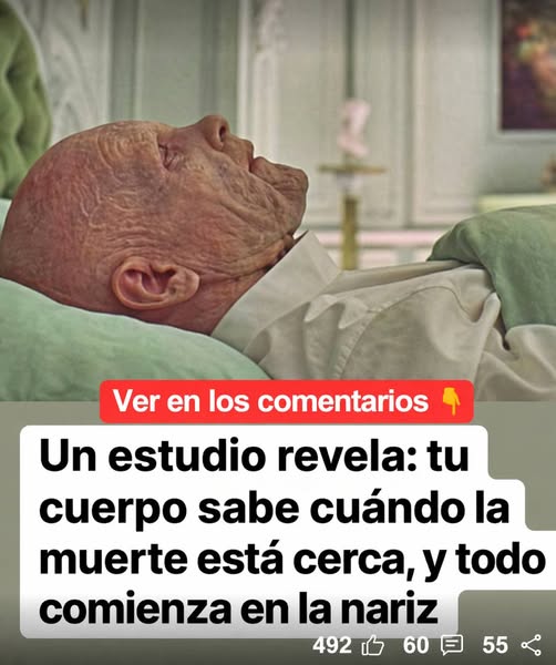 Un estudio analiza cómo el cuerpo percibe cambios en etapas avanzadas y qué señales pueden aparecer primero