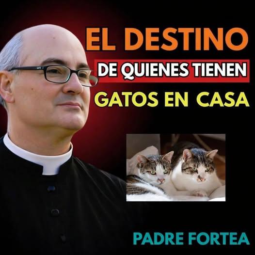 ¿QUÉ SIGNIFICADO TIENE ENCONTRARSE CON UN GATO NEGRO?